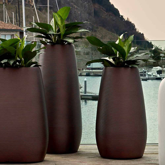 Pandora M: Vaso