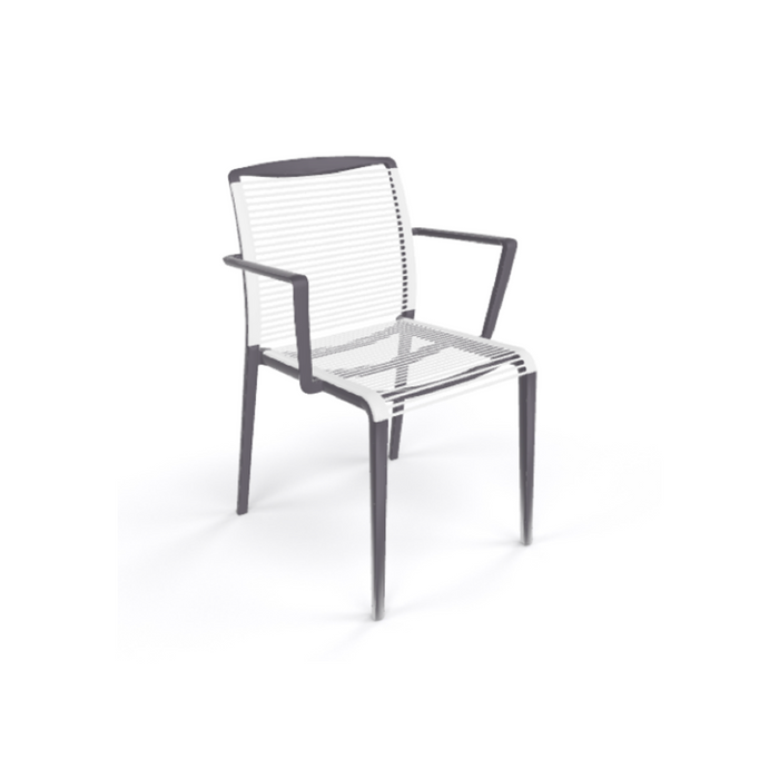 Avenica Sedia: Chair